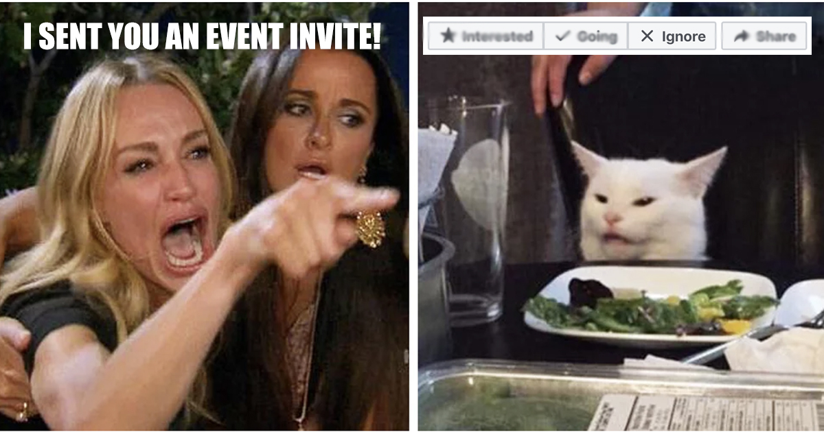 Smudge the cat ignores event invite