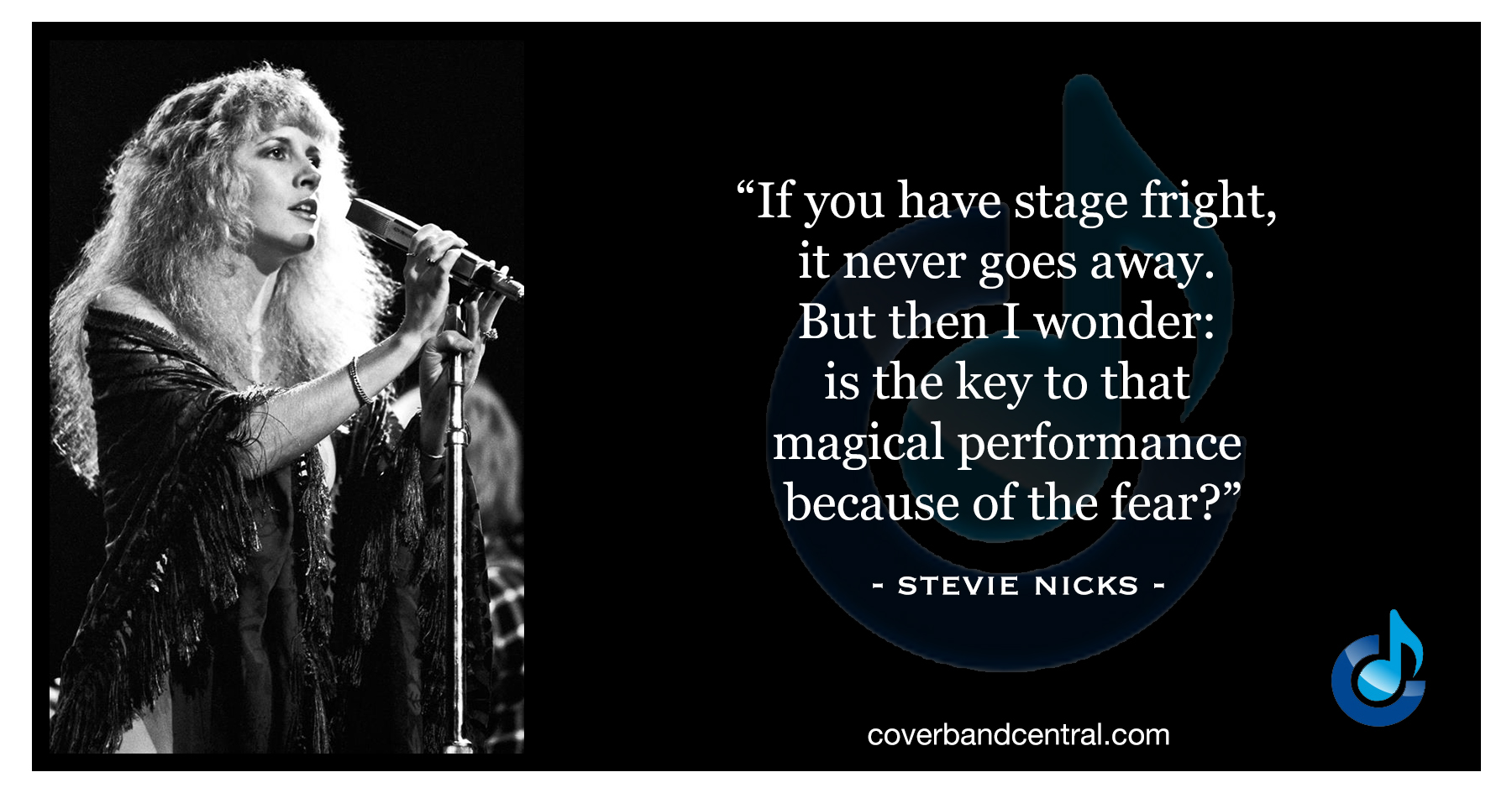 Stevie Nicks quote